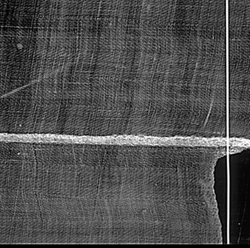 X-radiograph of the sidestrip seam on the Shroud