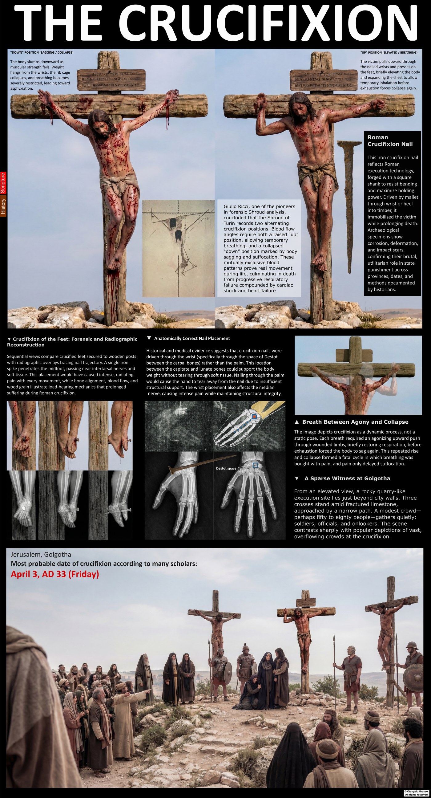 Infographic panel: The crucifixion. Shows a crucifixion scene, the wrist and foot positions, and the blood-flow pattern on the forearms.