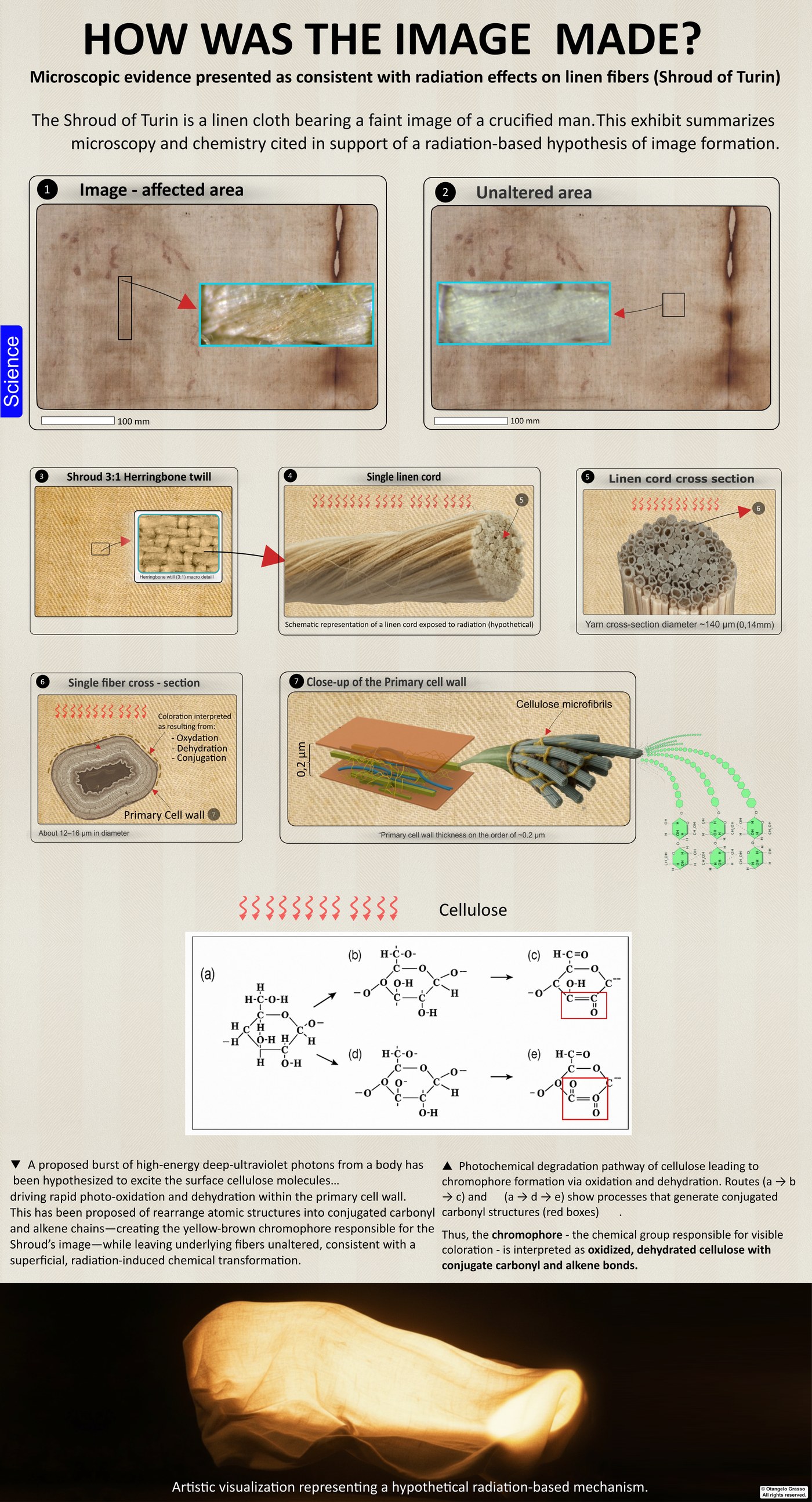 Infographic panel: The forgery question. Shows the medieval forgery hypotheses and the evidence each must explain.